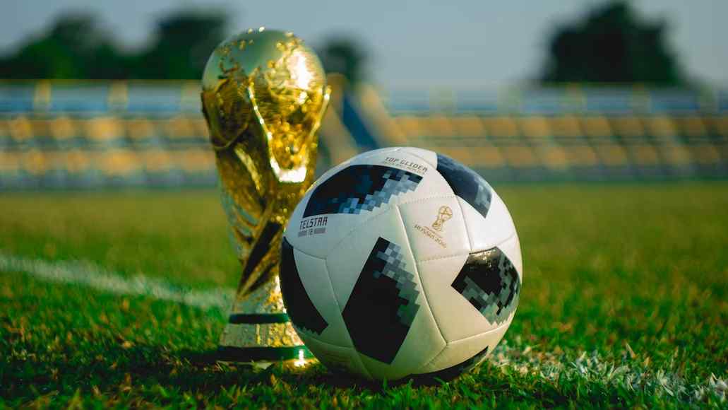 qatar fifa 2022 world cup