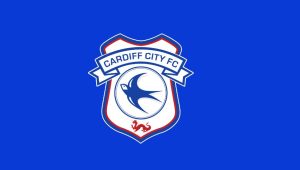 cardiff city fc