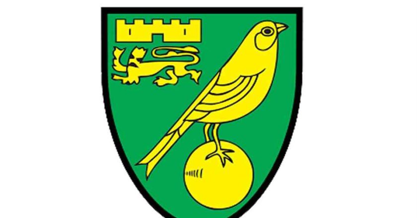 Norwich City Players Wages And Salaries (2024)