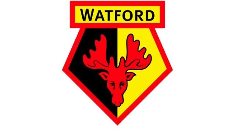 Watford F.C. Players Wages And Salaries