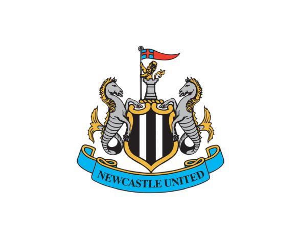 Who Is The New Owner Of Newcastle United FC