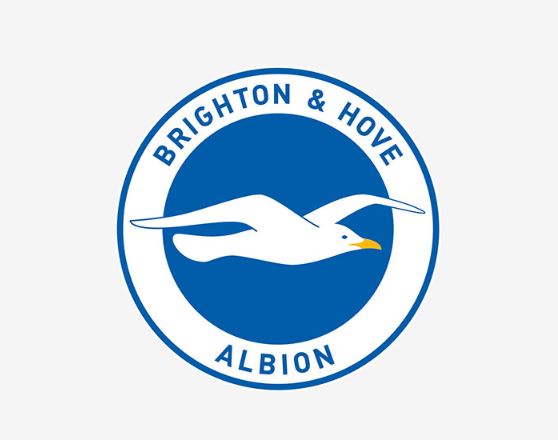 Who Owns Brighton FC